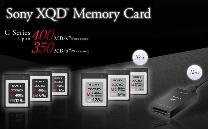 Sony XQD and SD cards